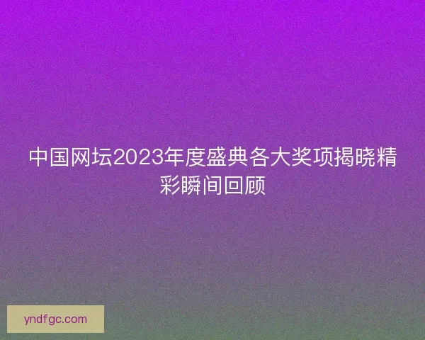 中国网坛2023年度盛典各大奖项揭晓精彩瞬间回顾